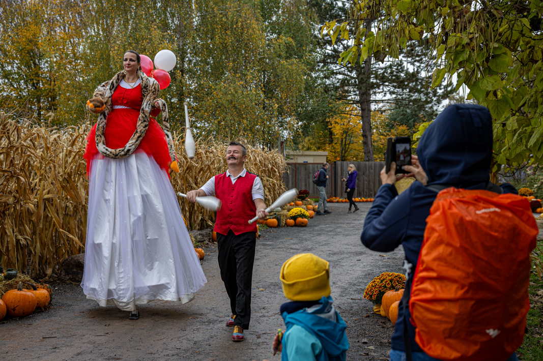 Halloween à Sainte-Croix : 16 jours de festivités, 10 000 citrouilles et des nouveautés !